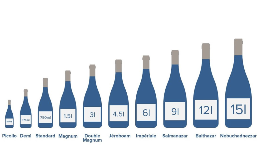 Wine Bottles Decoded: Sizes, Shapes and Secrets